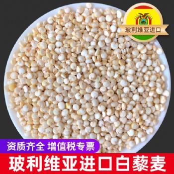 藜麦东莞批发商出售进口白藜麦