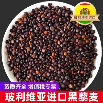 玻利维亚进口黑藜麦 广东藜麦批发