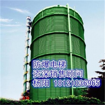 供应江西省南昌市防爆电梯、煤气柜电梯