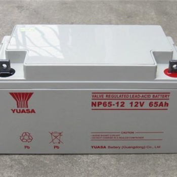 YUASA汤浅蓄电池NP65-12 12V6**H免维护UPS应急电源