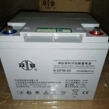 双登蓄电池6-GFM-40 12V40AH 应急电源铅酸蓄电池