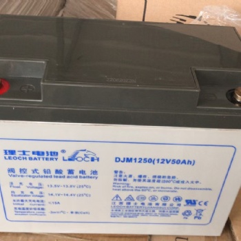 LEOCH理士蓄电池12V40AH DJM1240S