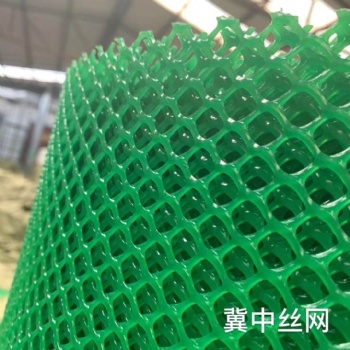 冀中塑料平网 电焊网 土工格栅 圈玉米网 圈鸡鸭网