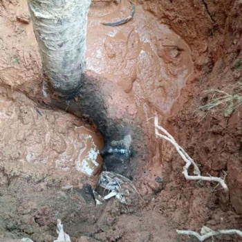 佛山供水管漏水维修服务，埋地下管检测探测公司