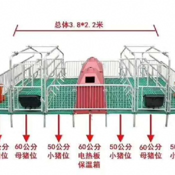 母猪双体产床 热镀锌产床 复合双体母猪产床