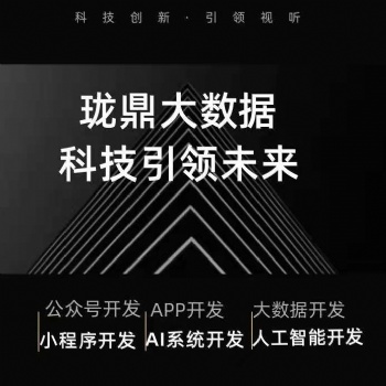 电商系统开发，商城程序开发