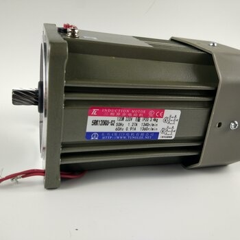 厦门东历5RK120GN-S2三相异步电动机