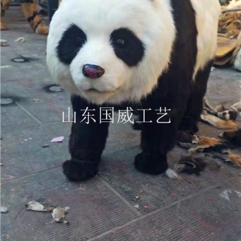 展示仿真大熊猫模型仿真大熊猫标本