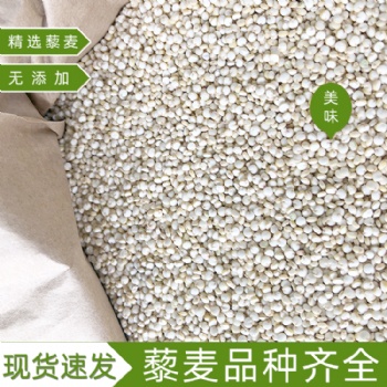 玻利维亚进口白藜麦现货批发