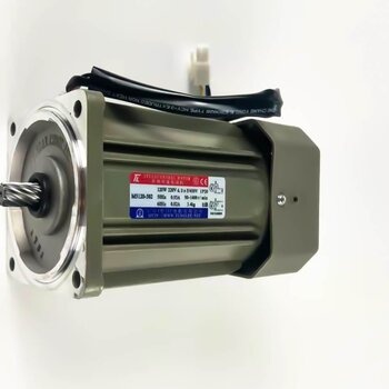 厦门东历单相变速M315-402B电动机