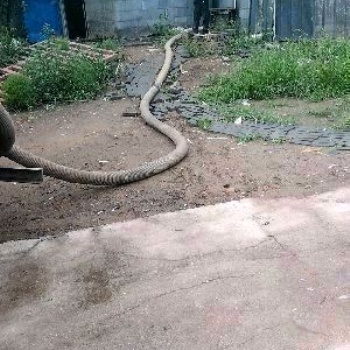 下水道化粪池清理疏通