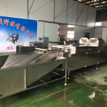 供应潍坊斯锐迈不锈钢单排鸡蛋/鸭蛋清洗流水线SRM-600-I型