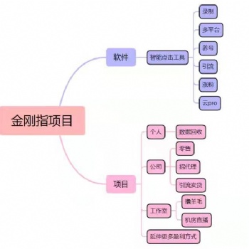 金指拓客助力短视频运营 快速变现