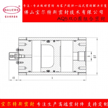 活塞式蓄能器密封圈油气分离密封BAQ5油封