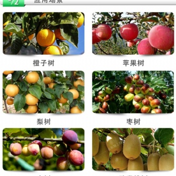 园林修剪专用电动修枝剪