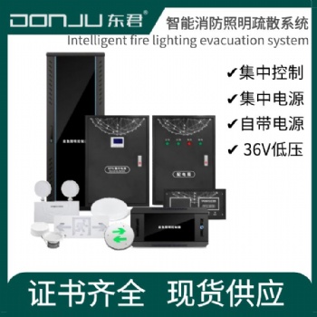 东君智能消防照明疏散系统A型36V