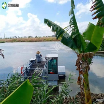 湖底水花生菖蒲水草船全自动柴油机割草船 小型湖泊捞草收集船