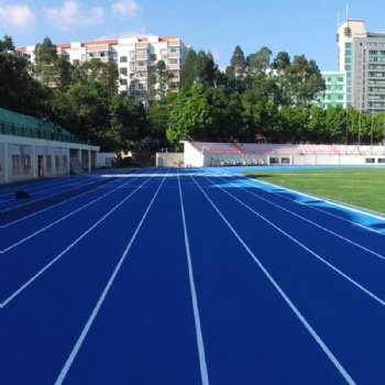 浙江学校塑胶跑道材料生产厂家哪家好