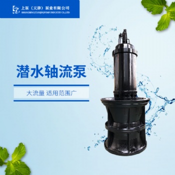 广东大功率潜水轴流泵