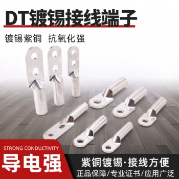 DT镀锡钎焊铜铝鼻子接线端子双孔铜铝鼻子过渡接线端子