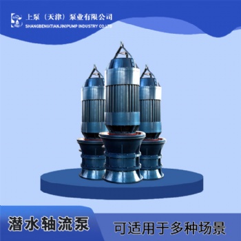 湖北大流量潜水轴流泵防汛抗旱用泵