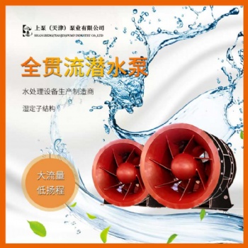 湖南大流量600QGWZ-100双向排水全贯流潜水电泵生产厂家