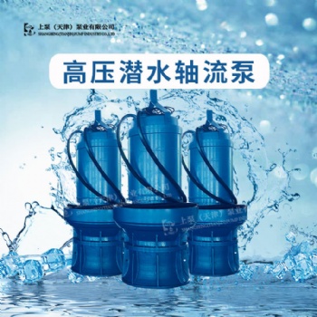 广东总经销800QZB-50潜水轴流泵市政排水农业灌溉