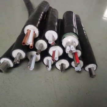 安徽昌普 生产一体化伴热管 绝缘预制管 MI加热电缆 自控温电伴热带