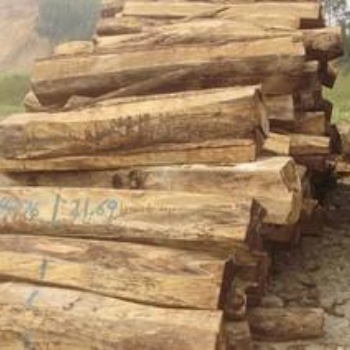 木材进口报关流程方案