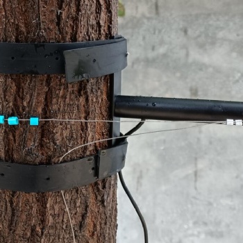 SDS-2树木生长变化传感器