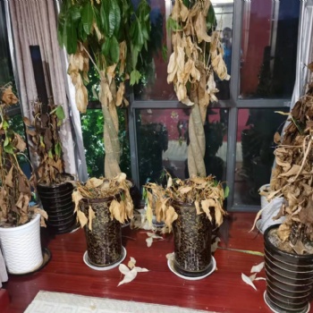 东林镇办公室搬迁安全可靠