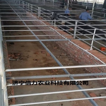 羊用输送带自动清粪机