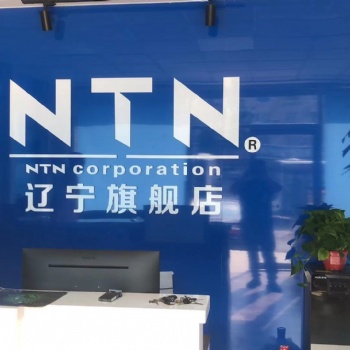 NTN恩迪（沈阳）传动设备有限公司简介
