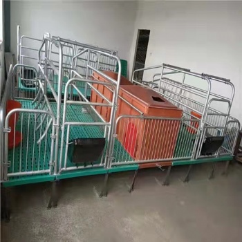 母猪产床保育床整体热镀锌产床
