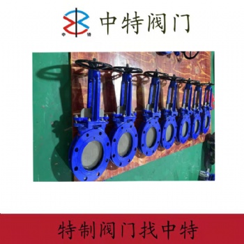PZ673N聚氨酯刀闸阀