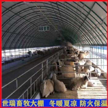 建设养羊大棚 育肥羊养殖大棚施工 养羊棚搭建包工包料