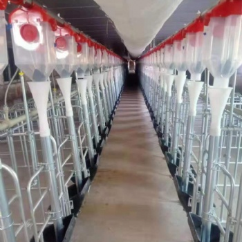 养殖设备主机料线 猪食槽 上料系统