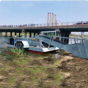 浒苔清理蓝藻打捞机械厂家 鱼塘蟹塘景区库区水面垃圾打捞清理机械