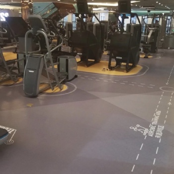 工厂360定制地板 健身房PVC塑胶地板厂 塑胶地胶