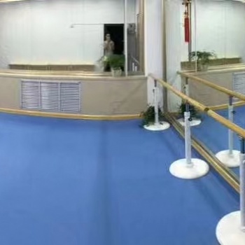 舞蹈室专业地胶 舞蹈房PVC塑胶地板 舞蹈教室地垫 防滑耐磨
