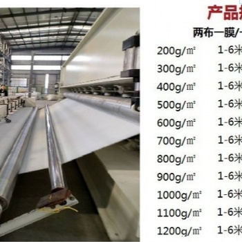 甘肃蓄水池两布一膜使用规格，西宁垃圾填埋场防渗土工膜、长丝土工布生产厂家