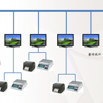 称重标签打印软件,电子秤打印软件