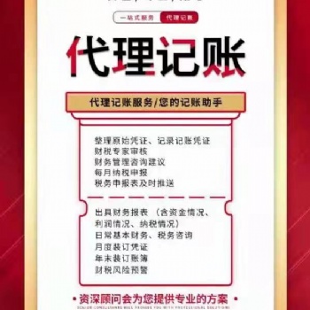 代理记账就要找专业的