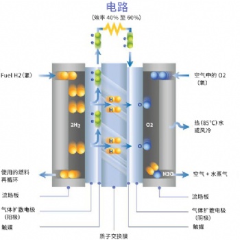 质子交换膜燃料电池支撑隔膜基膜