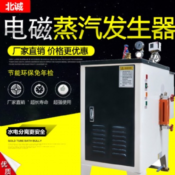 160KW电磁加热蒸汽发生器 变频感应全自动蒸汽锅炉 质量** 北诚环保