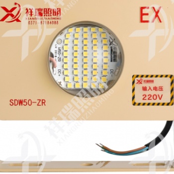祥瑞照明50W LED隧道灯 型号SDW50-ZR 台车防爆灯 投光灯