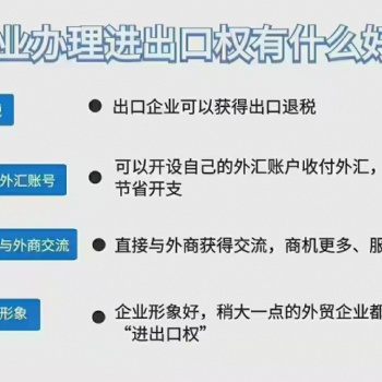 青岛专业进出口权办理