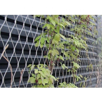 河北厂家**304不锈钢编织柔性绳网植物爬架不锈钢植物攀爬网