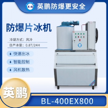 安徽化工降温防爆片冰机BL-400EX800