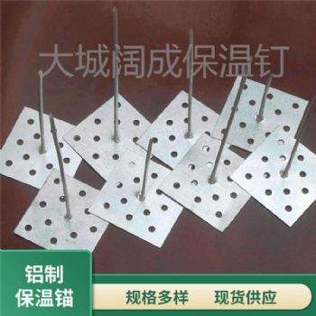 出售精品铝钉子胶水保温钉中央空调网孔粘钉锁片